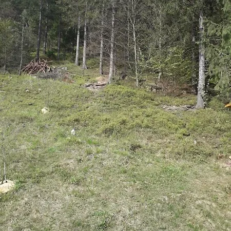 смериковий Jaremtsche