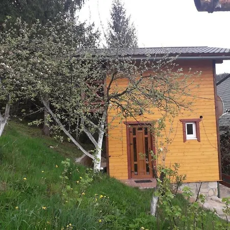 смериковий * Jaremtsche